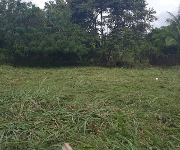 Main Property Image