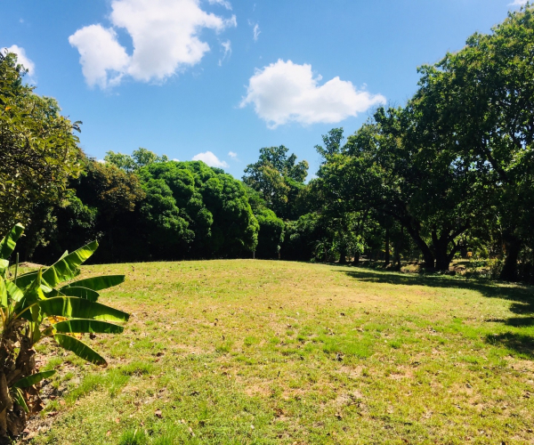 Main Property Image