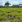 Thumbnail 20
