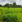 Thumbnail 19