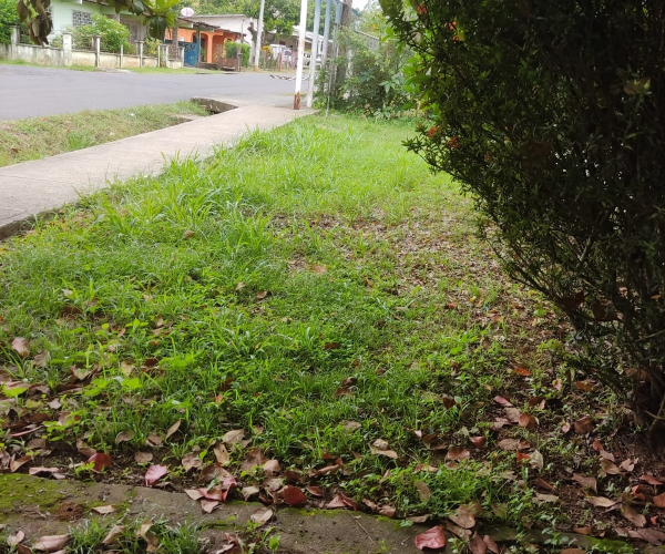 Main Property Image