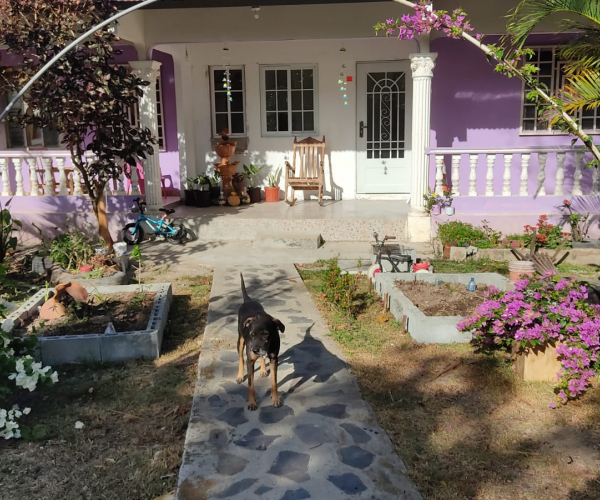 Main Property Image