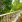 Thumbnail 19