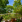 Thumbnail 20