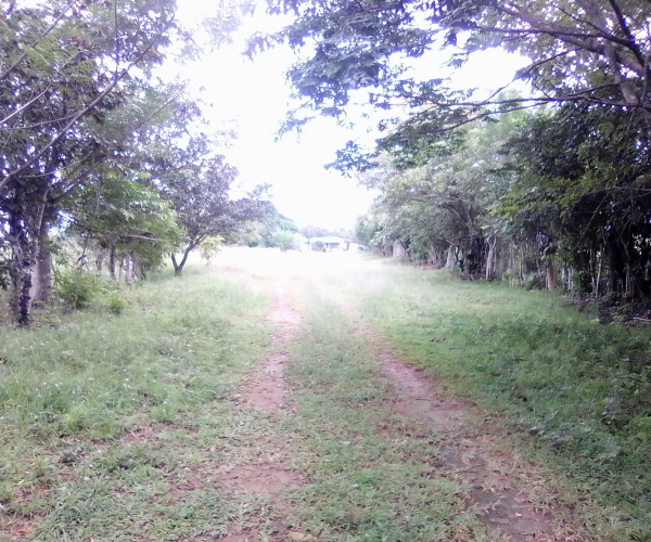 Main Property Image