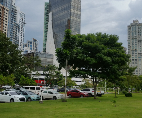 Main Property Image