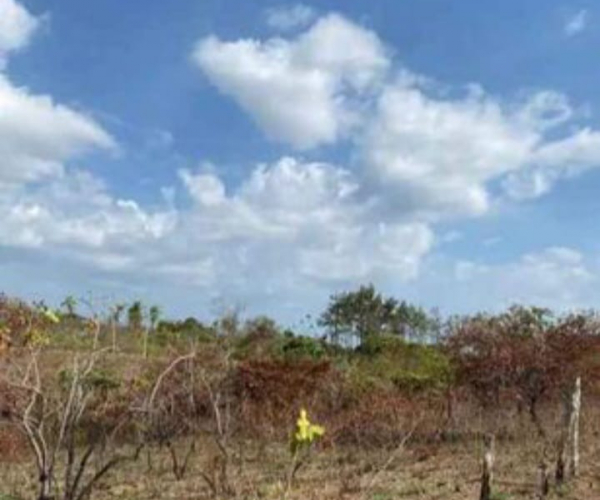 Main Property Image