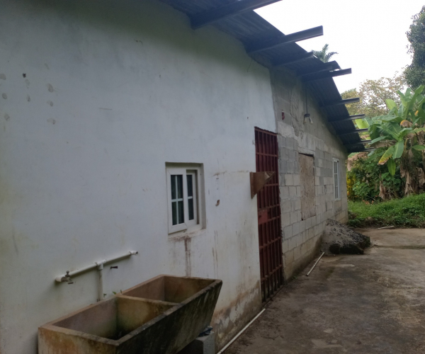 Main Property Image