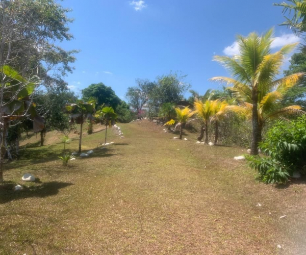 Main Property Image