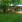 Thumbnail 23