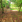 Thumbnail 22
