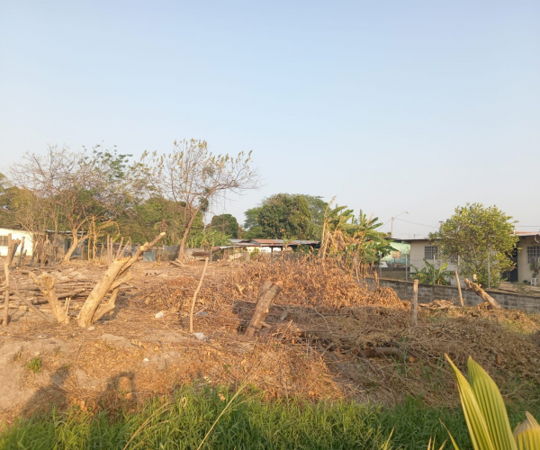 Main Property Image