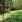 Thumbnail 16