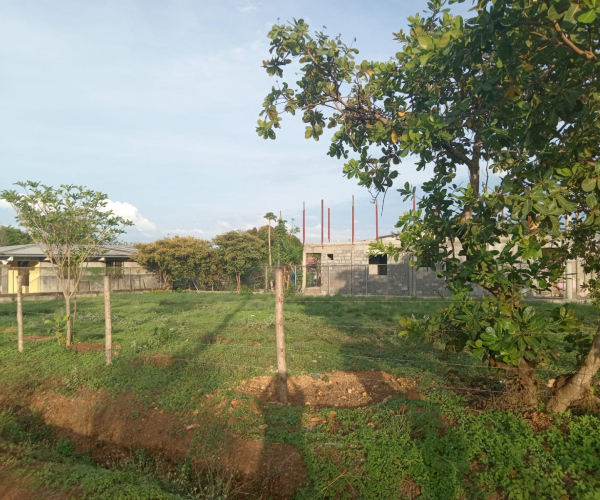 Main Property Image