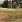 Thumbnail 19