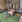 Thumbnail 20