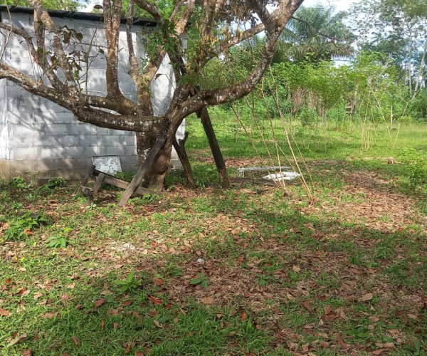 Main Property Image