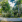 Thumbnail 19