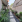 Thumbnail 16