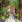 Thumbnail 16