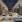 Thumbnail 18