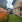 Thumbnail 16