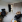 Thumbnail 20