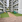 Thumbnail 16