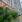 Thumbnail 20
