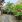 Thumbnail 19
