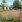 Thumbnail 17