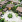 Thumbnail 20
