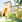Thumbnail 16