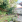 Thumbnail 20