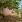 Thumbnail 18