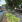 Thumbnail 17