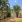 Thumbnail 19