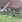 Thumbnail 19