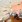 Thumbnail 19