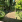 Thumbnail 20