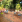 Thumbnail 18