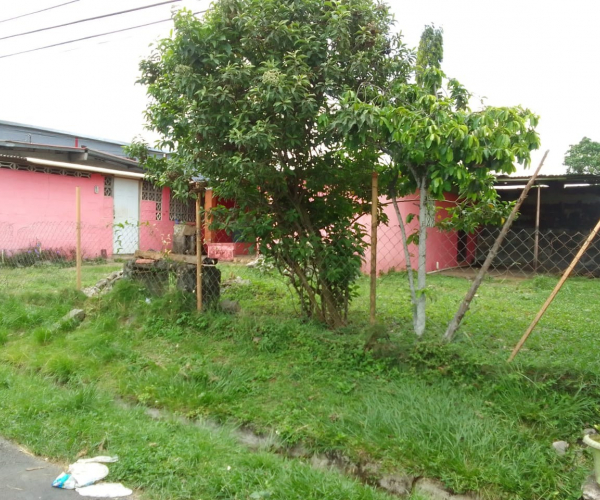 Main Property Image