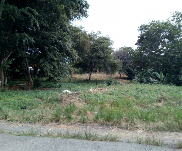 Main Property Image
