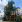 Thumbnail 16
