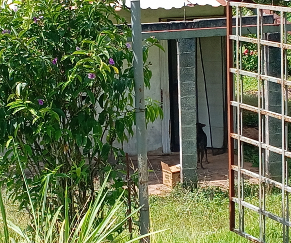 Main Property Image
