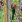Thumbnail 16