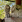 Thumbnail 19