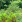 Thumbnail 19