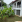 Thumbnail 20