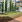 Thumbnail 19